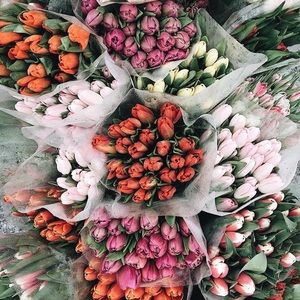 Meet your Posher, Kaitlyn